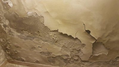 ausblühungen ausbluehungen an der wand